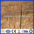 DM vente chaude HDG Field Fence (usine Anping)